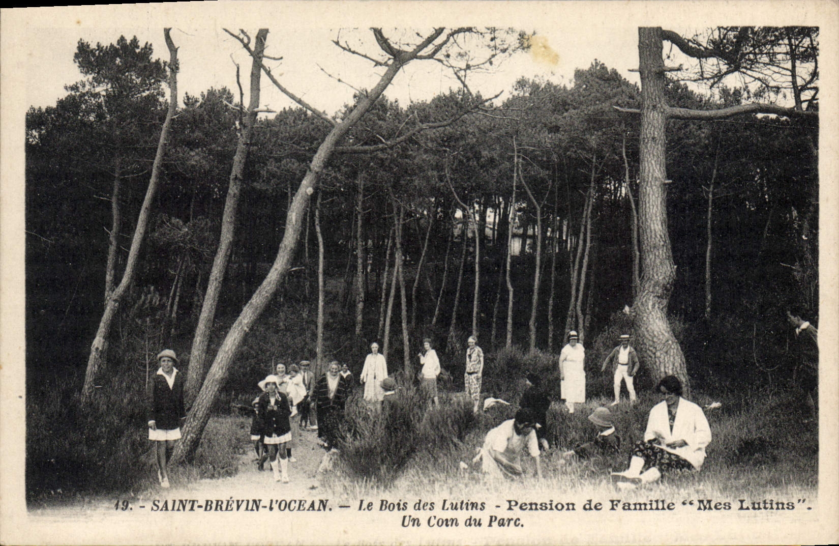 CPA Saint Brevin I'Ocean Le Bois Des Lutins