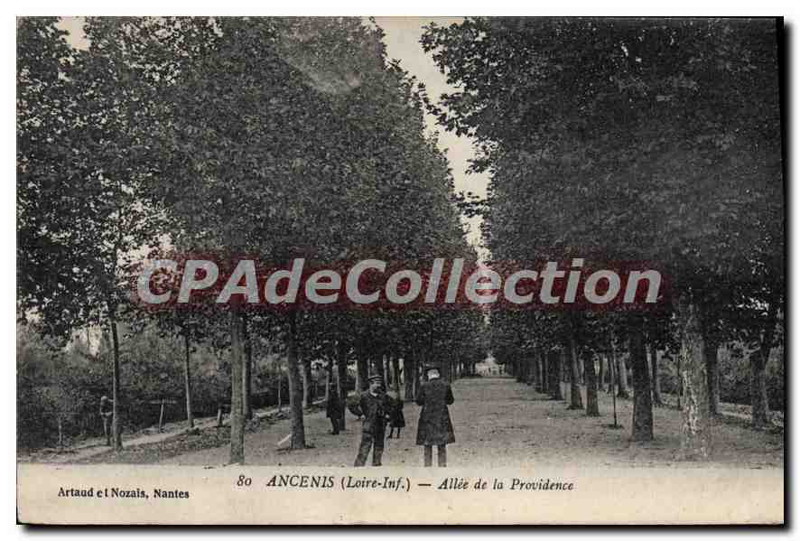 CPA Ancenis Allee De La Providence