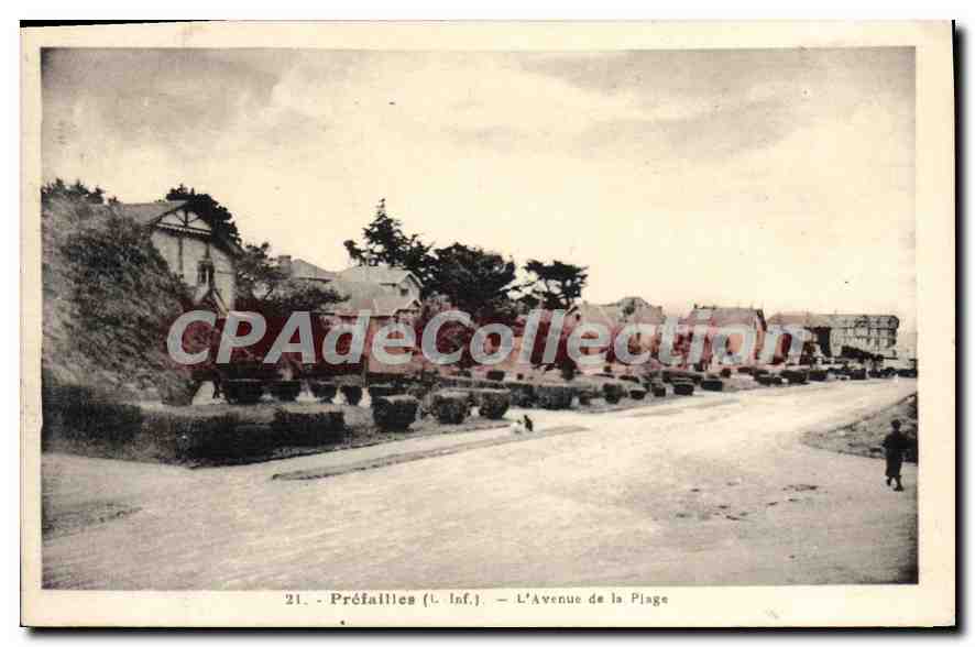CPA Prefailles L'Avenue De La Plage