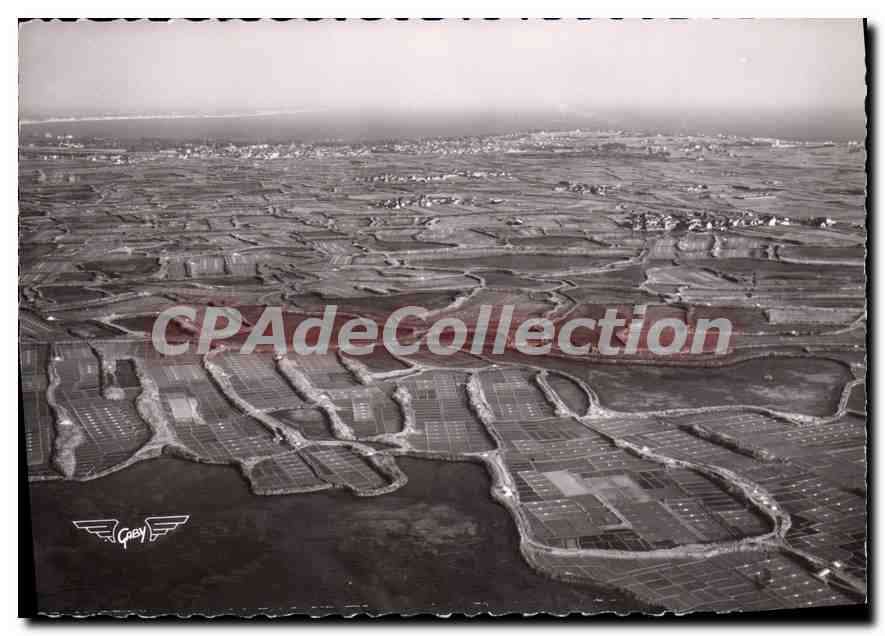 CPSM Batz Sur Mer Marais Salants