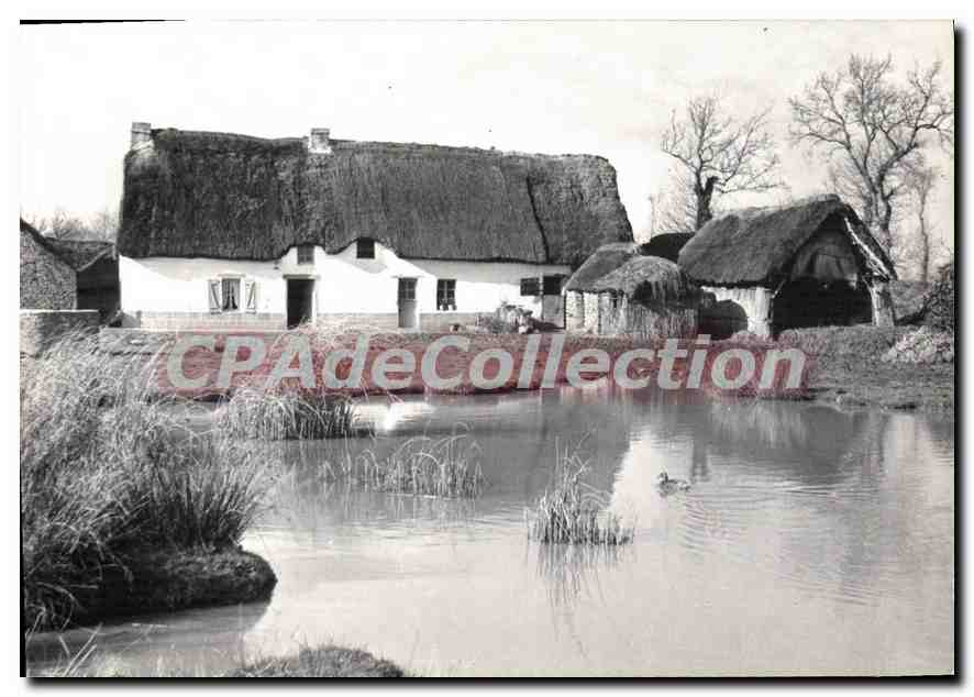 CPSM La Cote D'Amour Breca En Grande Briere