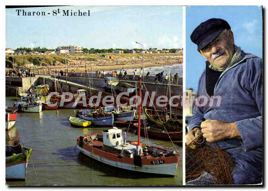 CPSM St Michel Chef Chef Le Port De Peche THARON-PLAGE