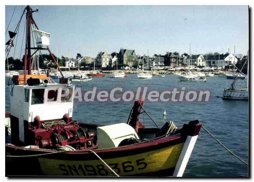CPSM Piriac Sur Mer Le Port