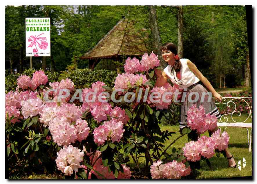 CPSM Orleans La Source parc floral