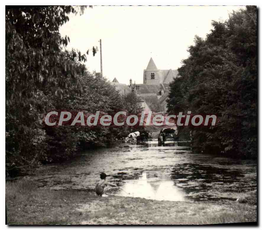 CPA Beaulieu Sur Loire L'Abreuvoir