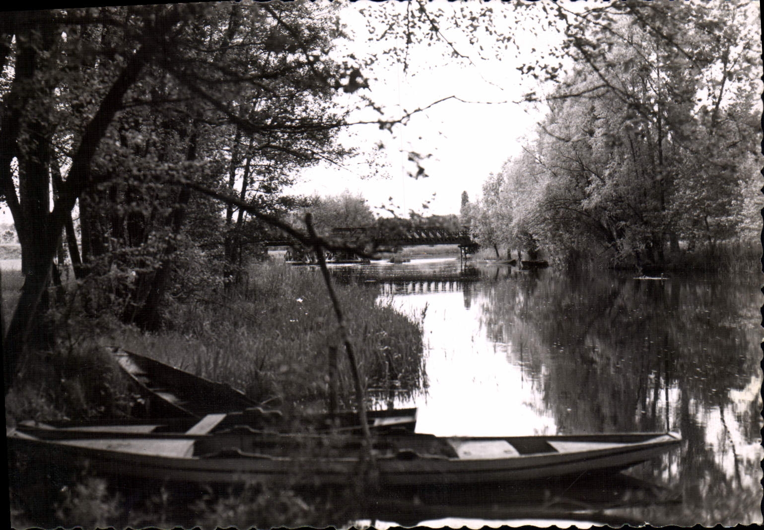 CPA Dordives Les Bords Du Loing Et Le Pont De Cesar