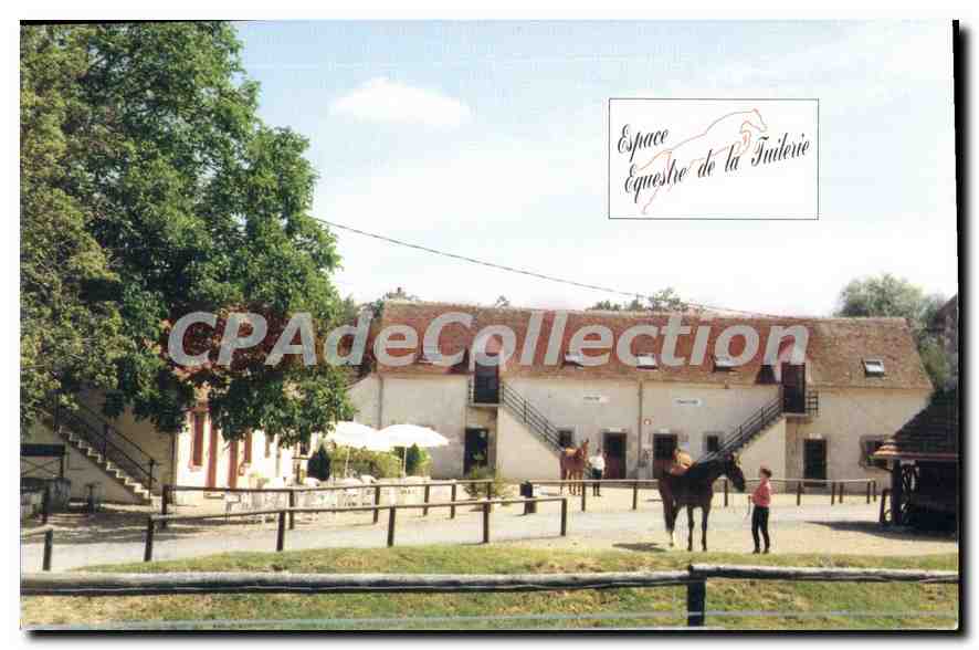 CPSM Dammarie En Puisaye
