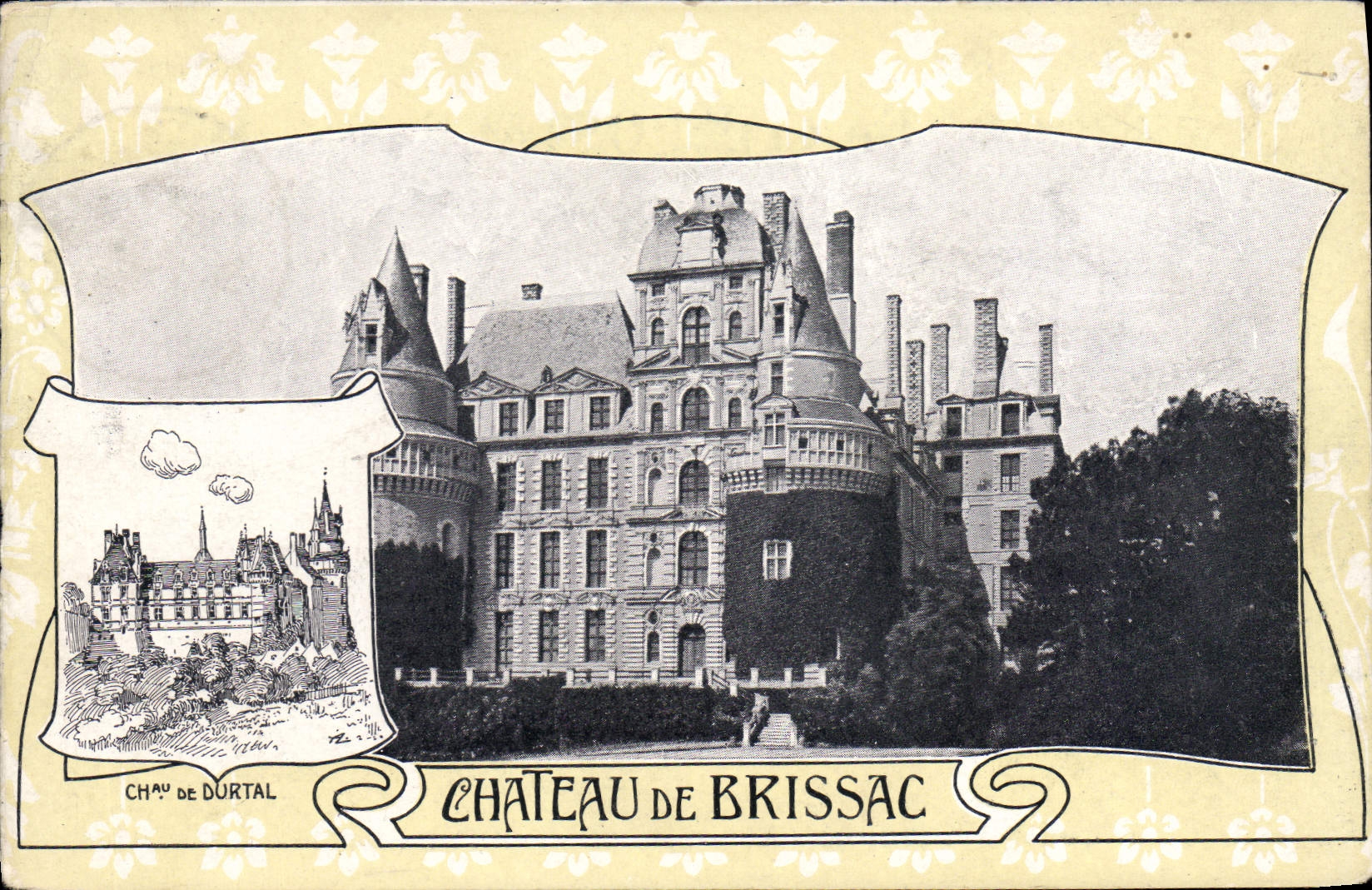 CPA Chateau De Brissac