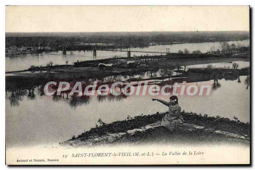 CPA Saint Florent Le Vieil La Vallee De La Loire