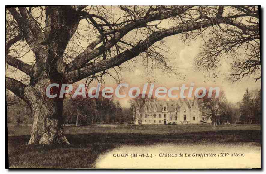 CPA Cuon Chateau De La Graffiniere