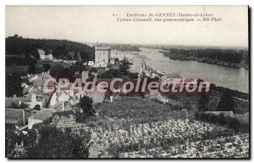 CPA Gennes Treves-Cunault Vue Panoramique