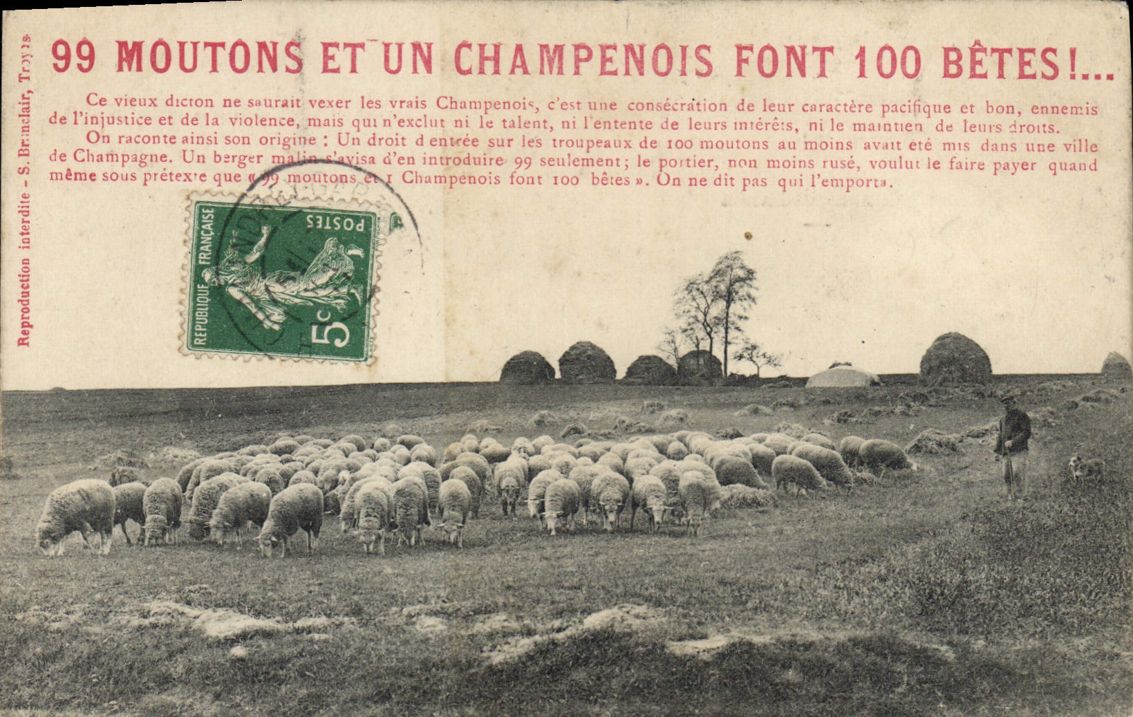 99 MOUTONS ET UN CHAMPENOIS FONT 100 BÊTES! — S. Brémard, Troyes