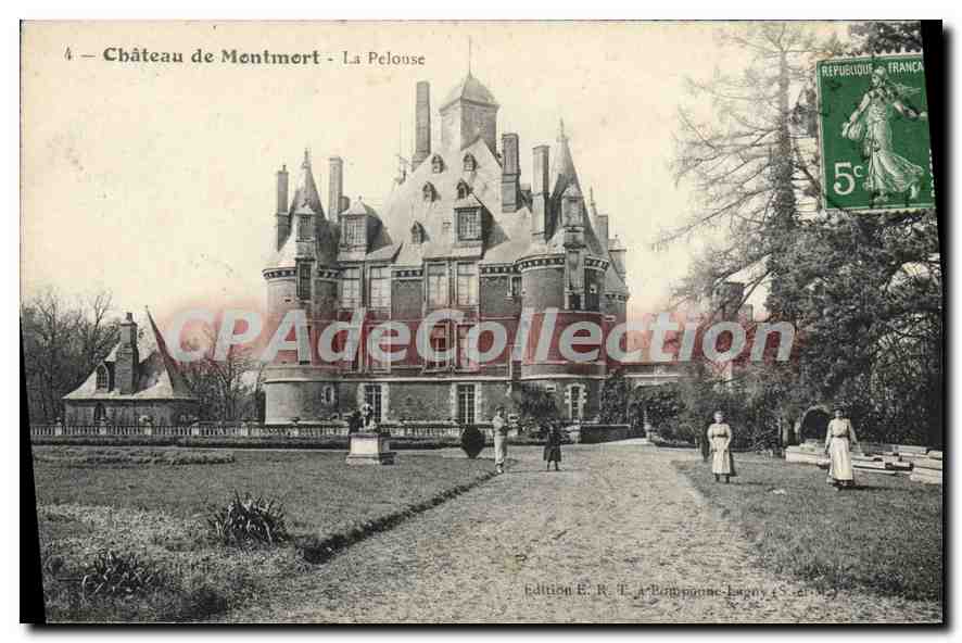 CPA Chateau De Montmort La Pelouse
