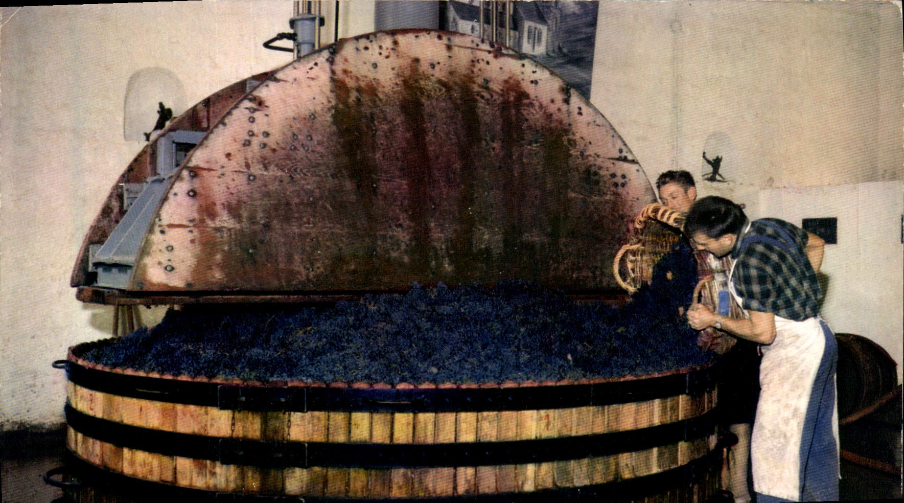Scène de vendanges — 'Un pressoir rond' — Éditions Hachette