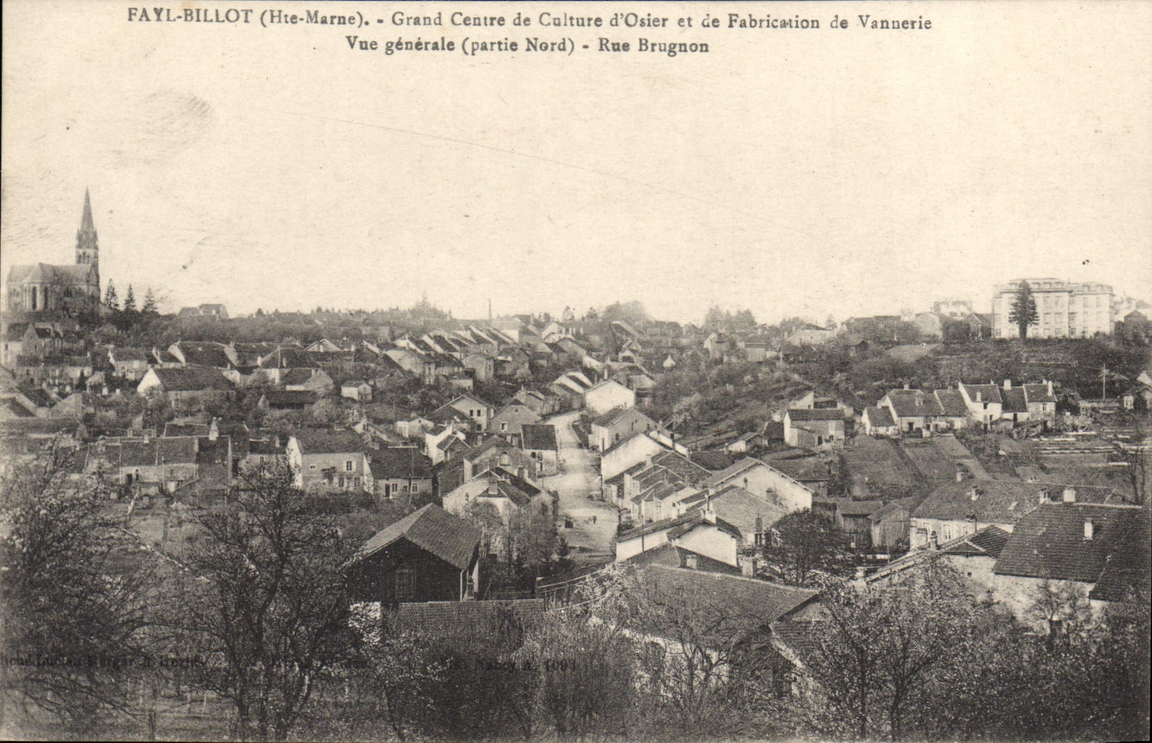 CPA Fayl Billot Grand Centre De Culture d'osier vannerie