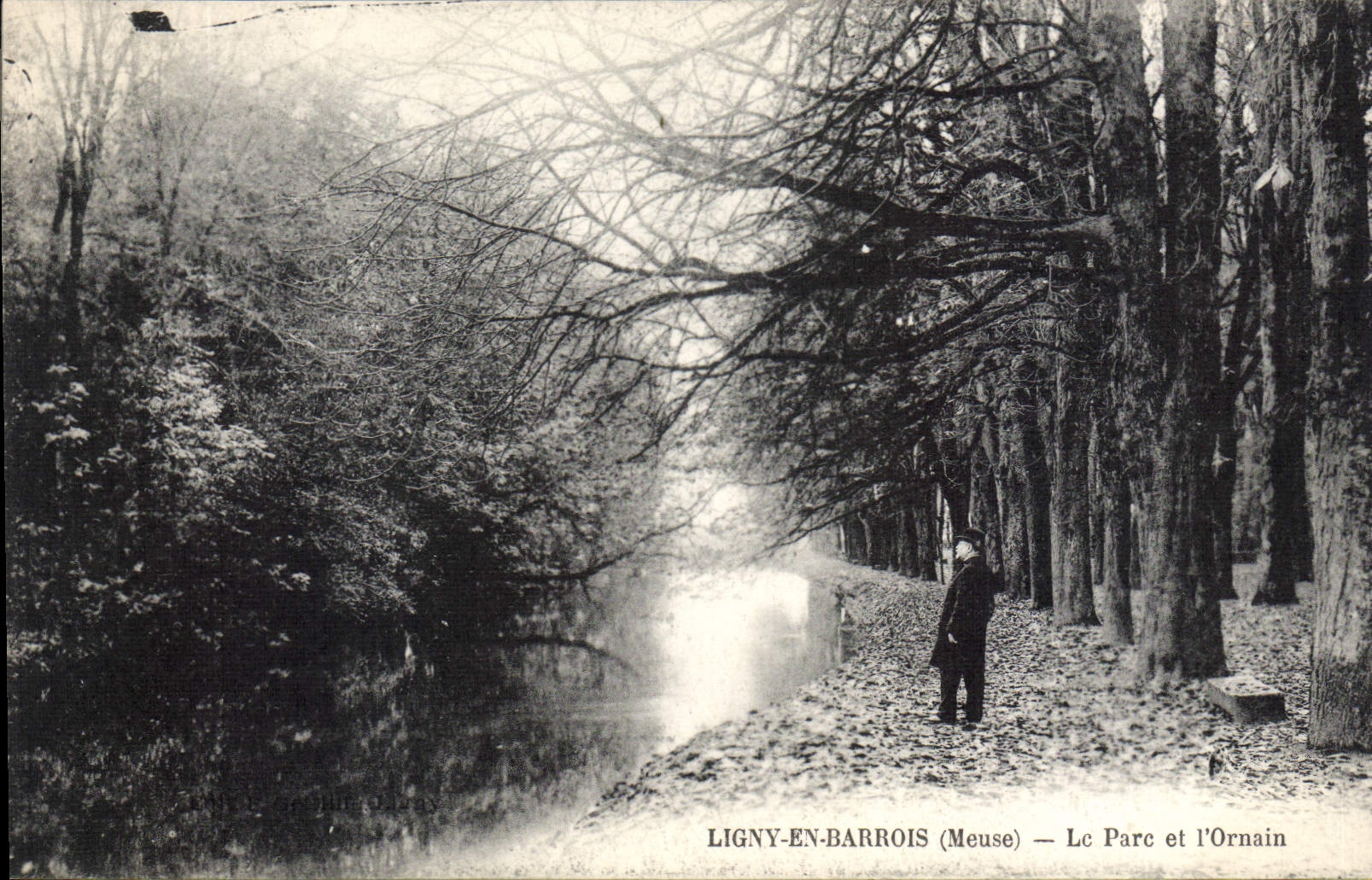 CPA Ligny En Barrois Le Parc Et I'Ornain
