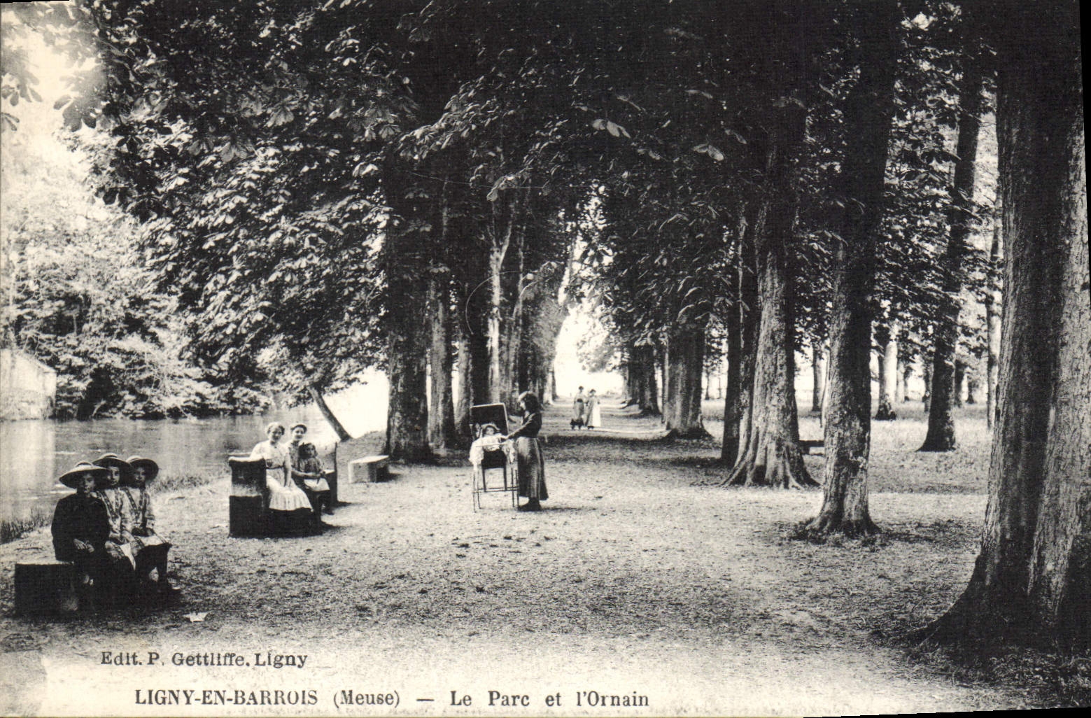 CPA Ligny En Barrois Le Parc Et I'Ornain