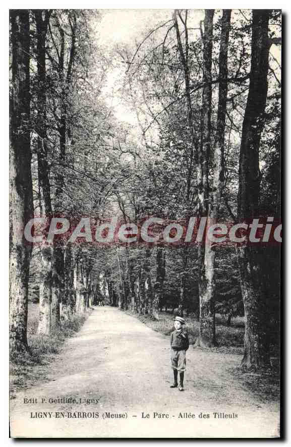 CPA Ligny En Barrois Le Parc Allee Des Tilleuls