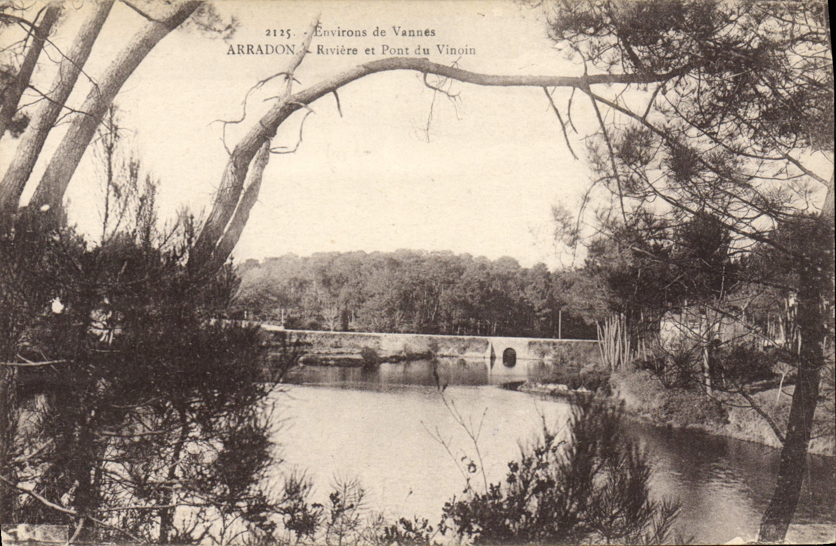 CPA Vannes Arradon Riviere Et Pont Du Vinoin