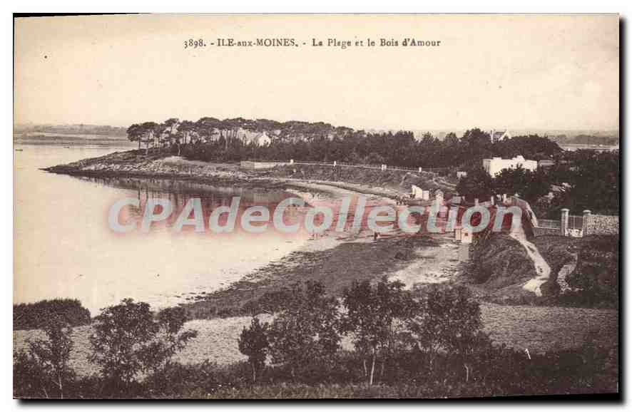 Île-aux-Moines — La Plage et le Bois d'Amour — Laurent-Nel, Rennes