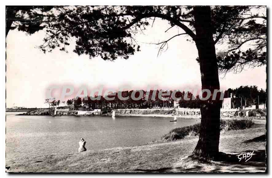 La Plage et le Bois d'Amour — ILE-aux-MOINES (Morbihan) — Éditions Caby