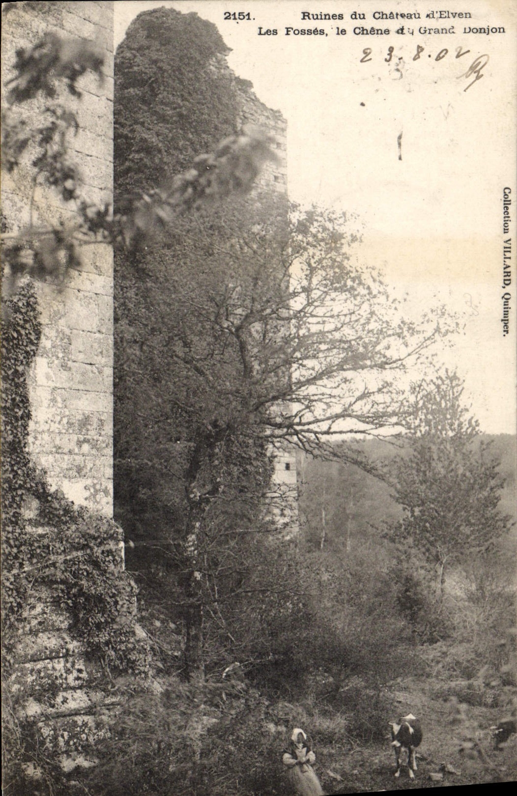 Ruines du Château d'Elven — Les Fossés, le Chêne du Grand Donjon — Collection VILLARD, Quimper