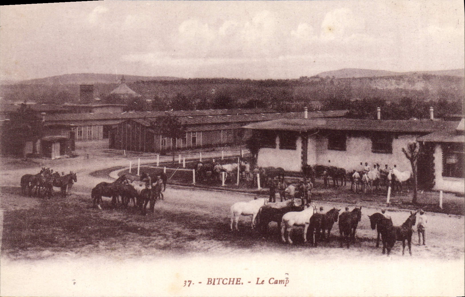 Bitche - Le Camp — camp militaire avec chevaux — éditeur inconnu, n° 37