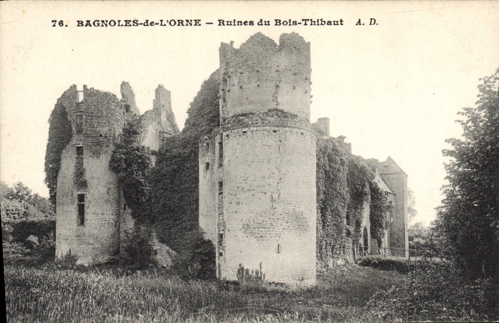 Bagnolles-de-l'Orne — Ruines du Bois-Thibaut — A. D.