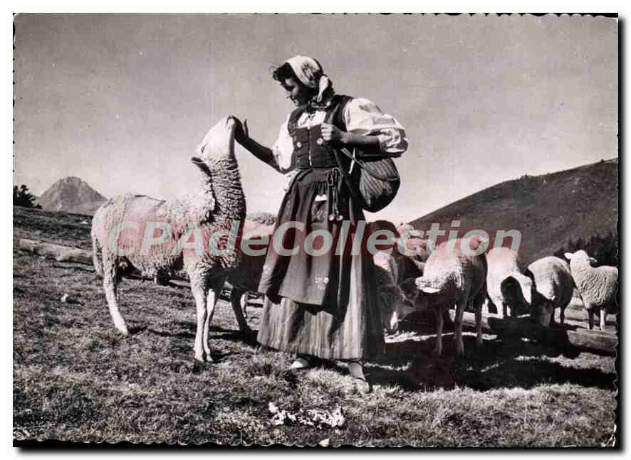CPSM gracieuse Bergere Sur Les Hauts Paturages