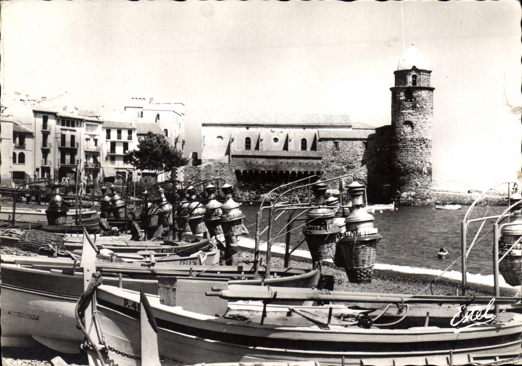 CPSM Collioure Vue Sur Le Port lamparo