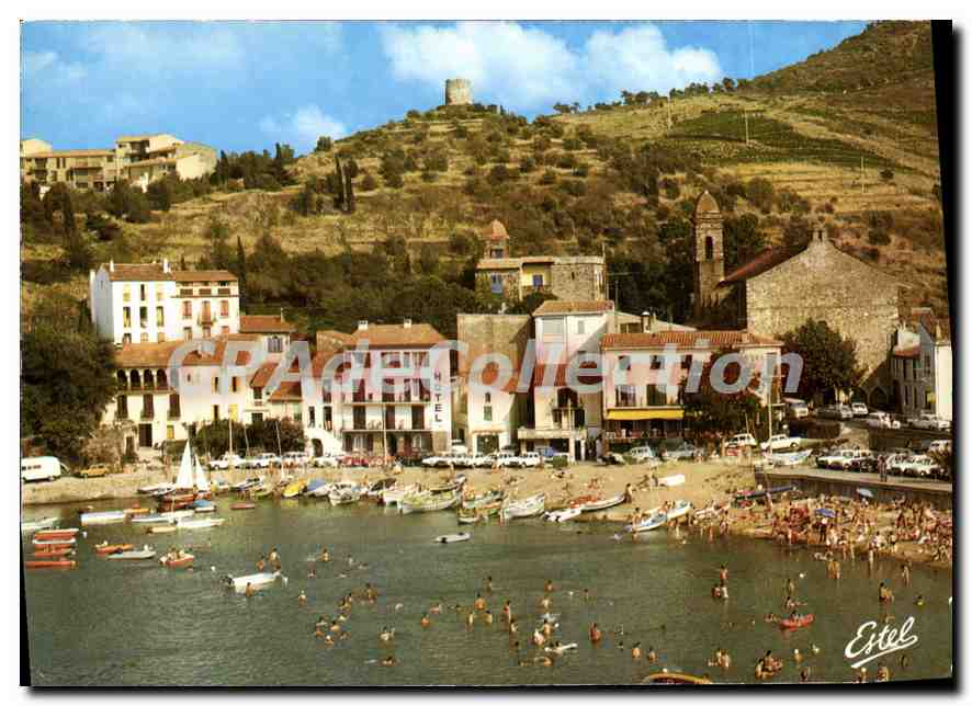 CPSM Collioure Le Port Et La Plage Du Faubourg