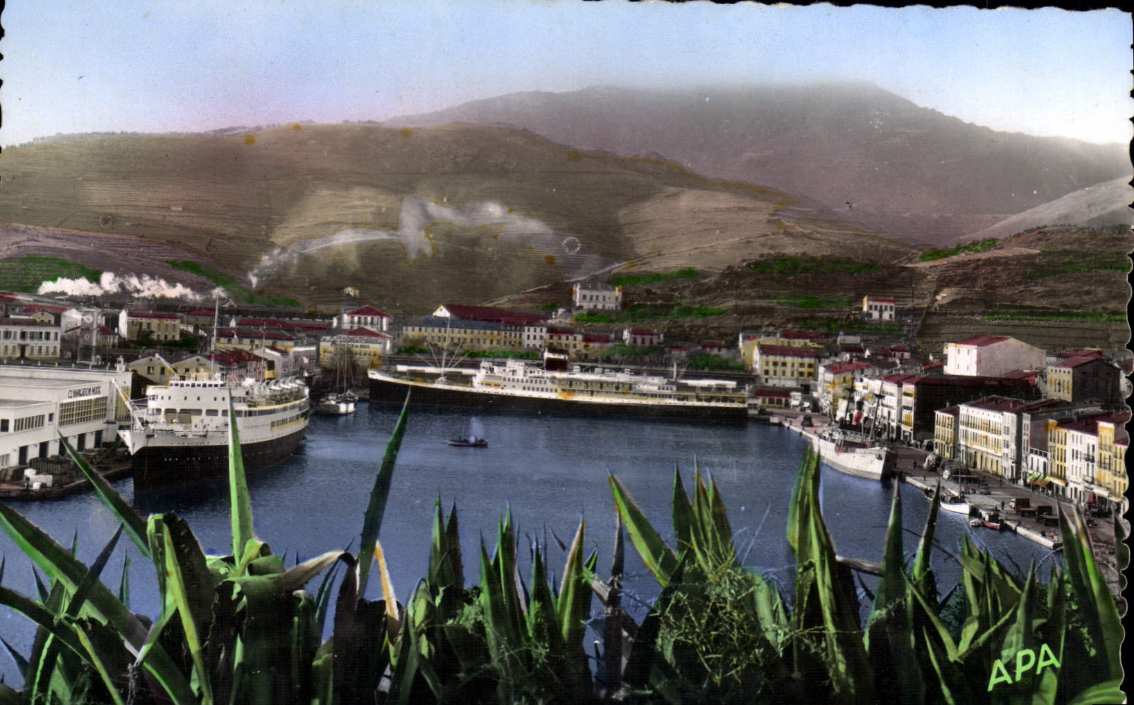 CPA Port VENDRES Vue Panoramique Sur Le Port