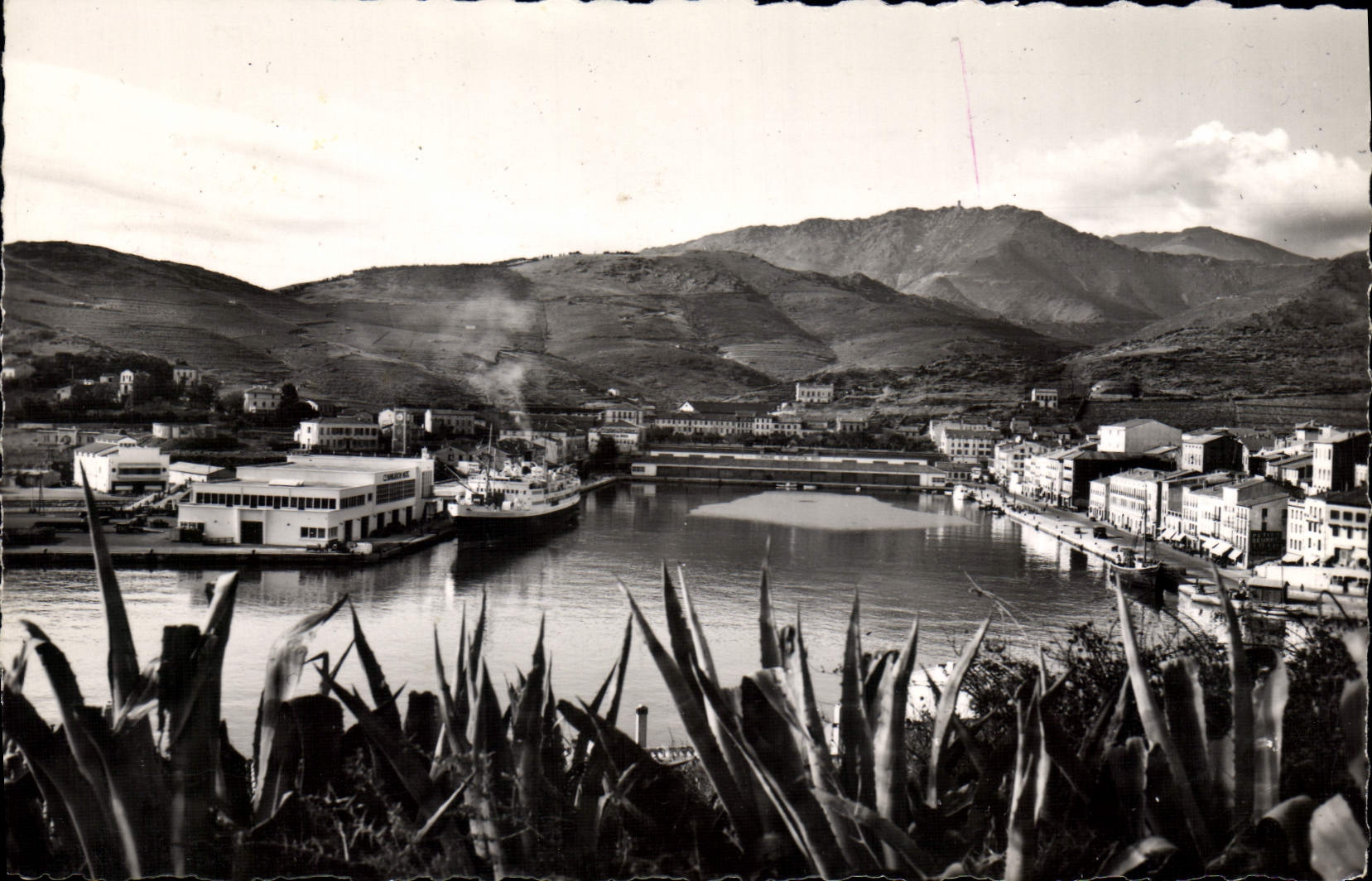 CPA Port VENDRES Vue Panoramique Sur Le Port gare maritime