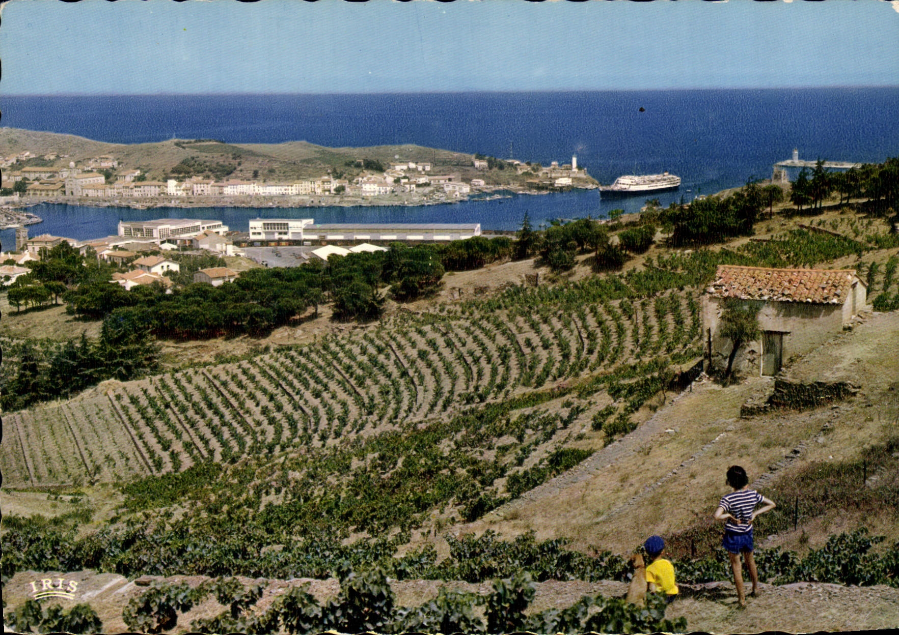 CPSM Port VENDRES Vue Generale paquebot