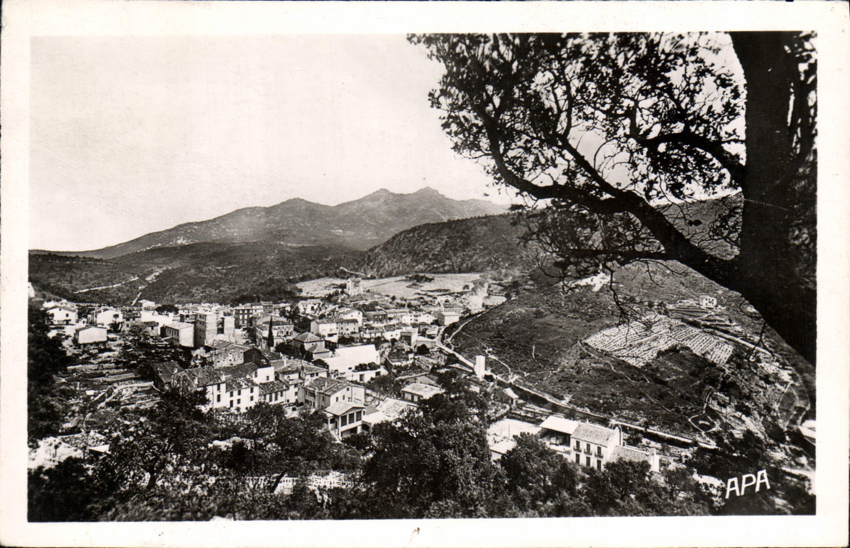 CPA Le PERTHUS Vue Panoramique