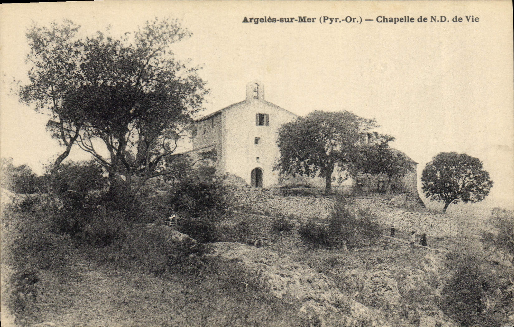 CPA Argeles Sur Mer Chapelle