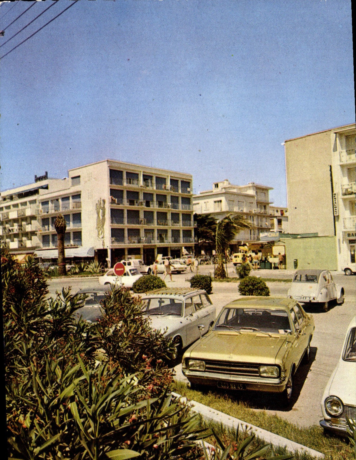 CPSM Argeles Sur Mer Le Rond Point De La Sardane