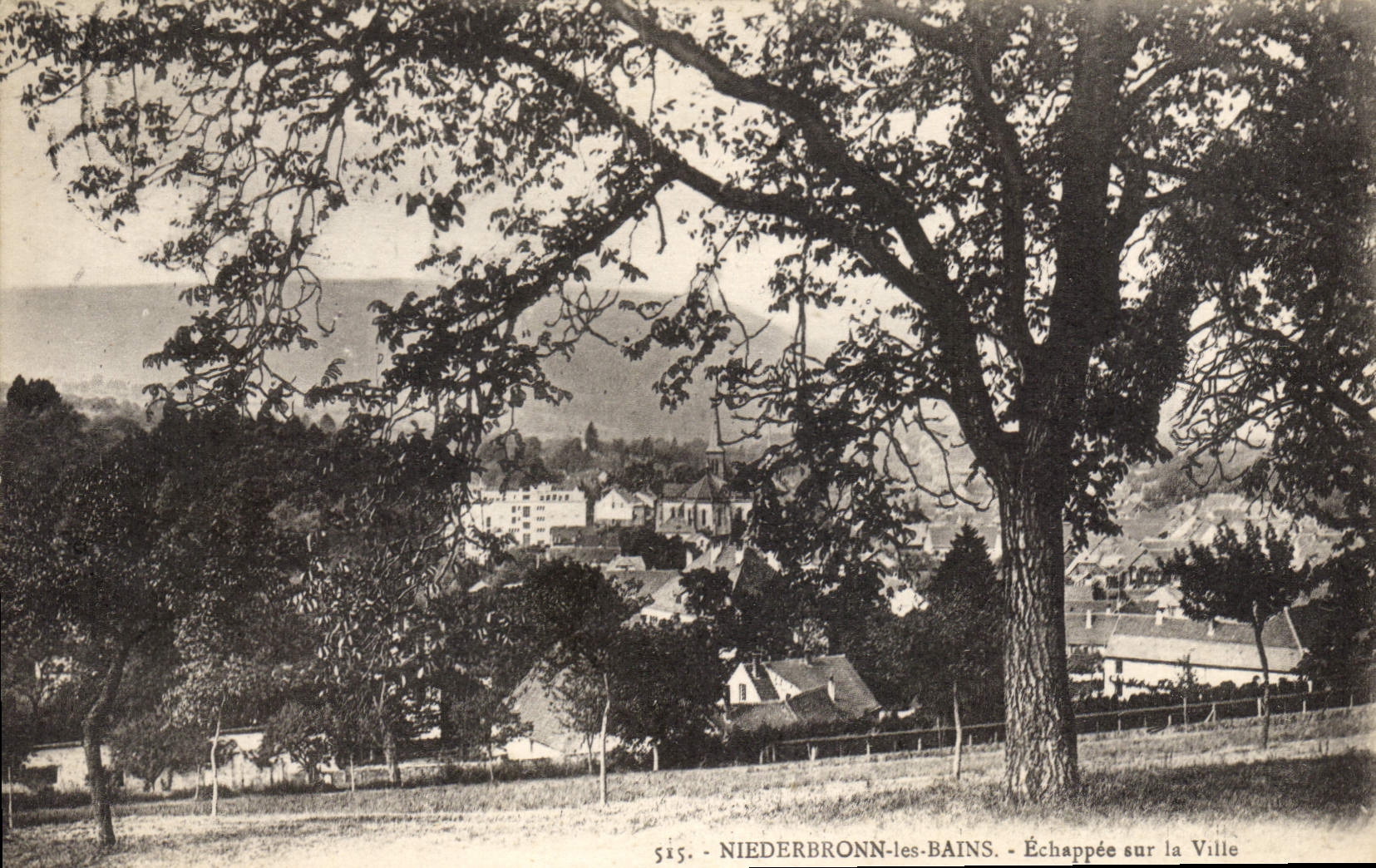 CPA Niederbronn Les Bains Echappee Sur La Ville