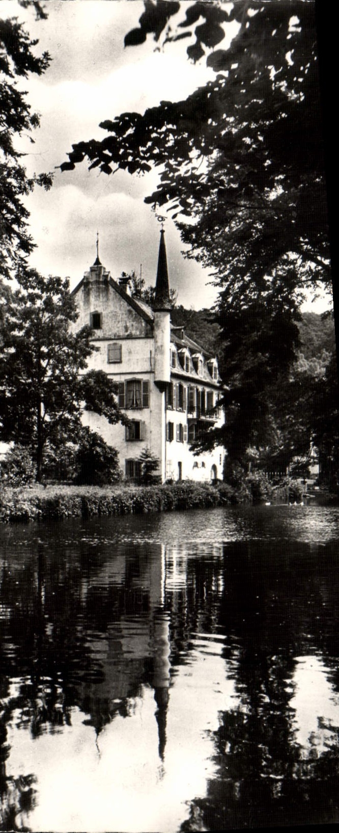CPA Klingenthal Au Pied Du Mont Sainte Odile hôtel du château