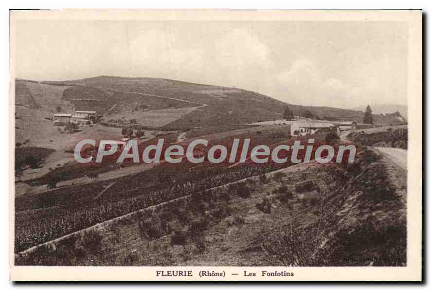 CPA Fleurie Les Fonfotins