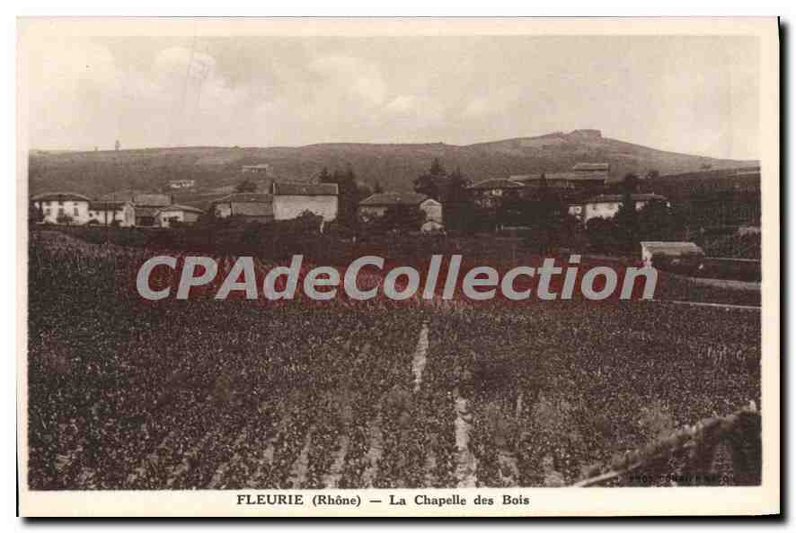CPA Fleurie La Chapelle Des Bois