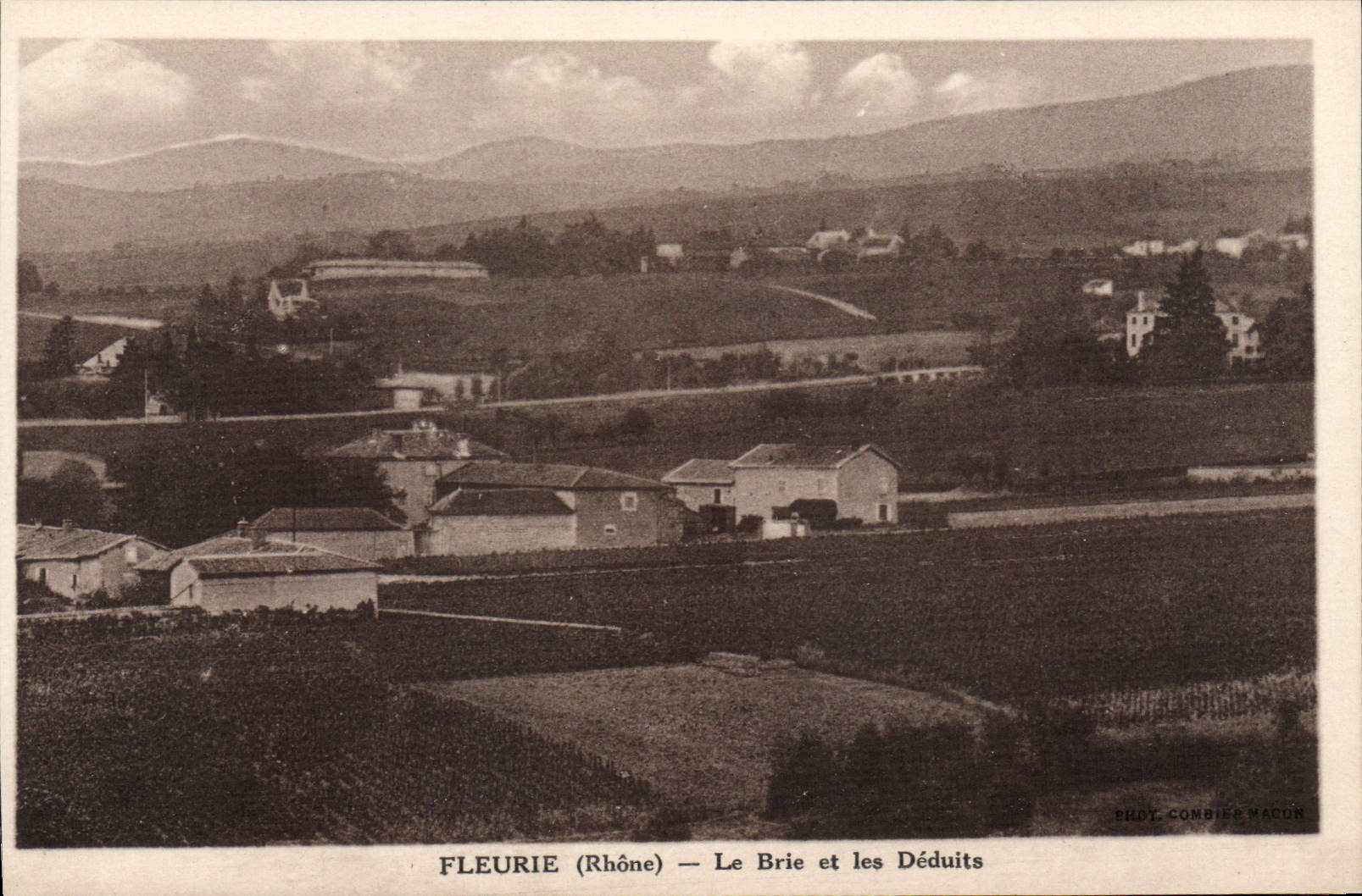 CPA Fleurie Le Brie Et Les Deduits