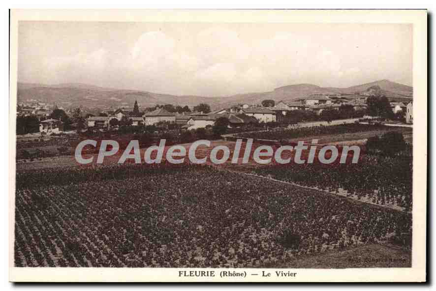 CPA Fleurie Le Vivier