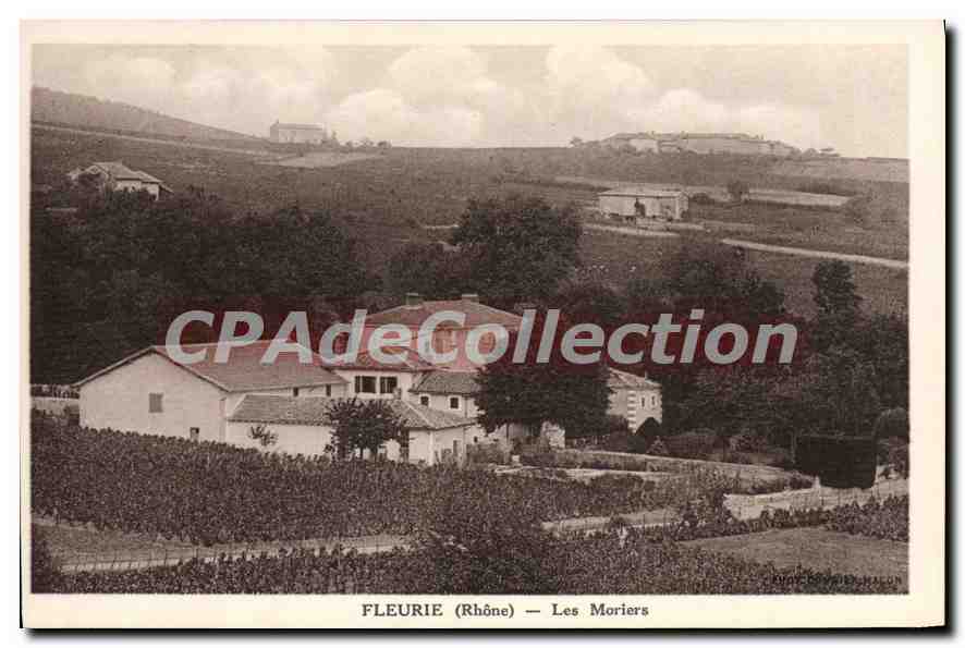 Fleurie (Rhône) — Les Moriers — Vintage Postcard/Antike Ansichtskarte