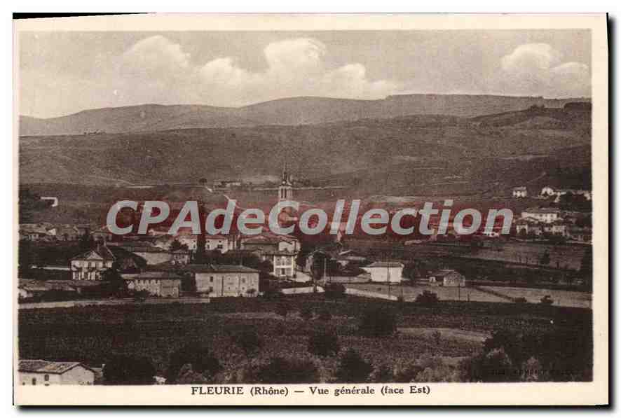 CPA Fleurie Vue Generale