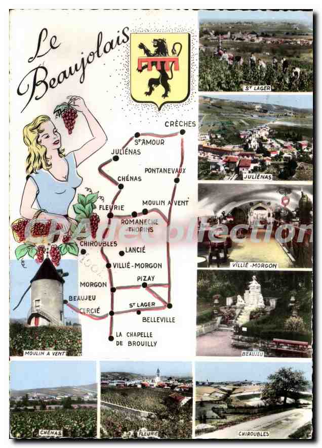 CPSM Le Beaujolais