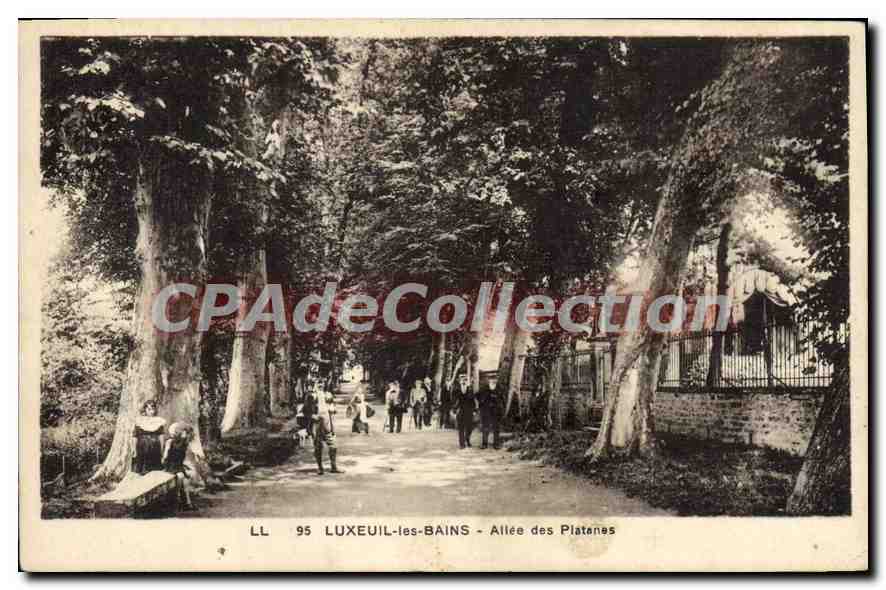 LUXEUIL-LES-BAINS - Allée des Platanes — LL 95, éditeur non identifié