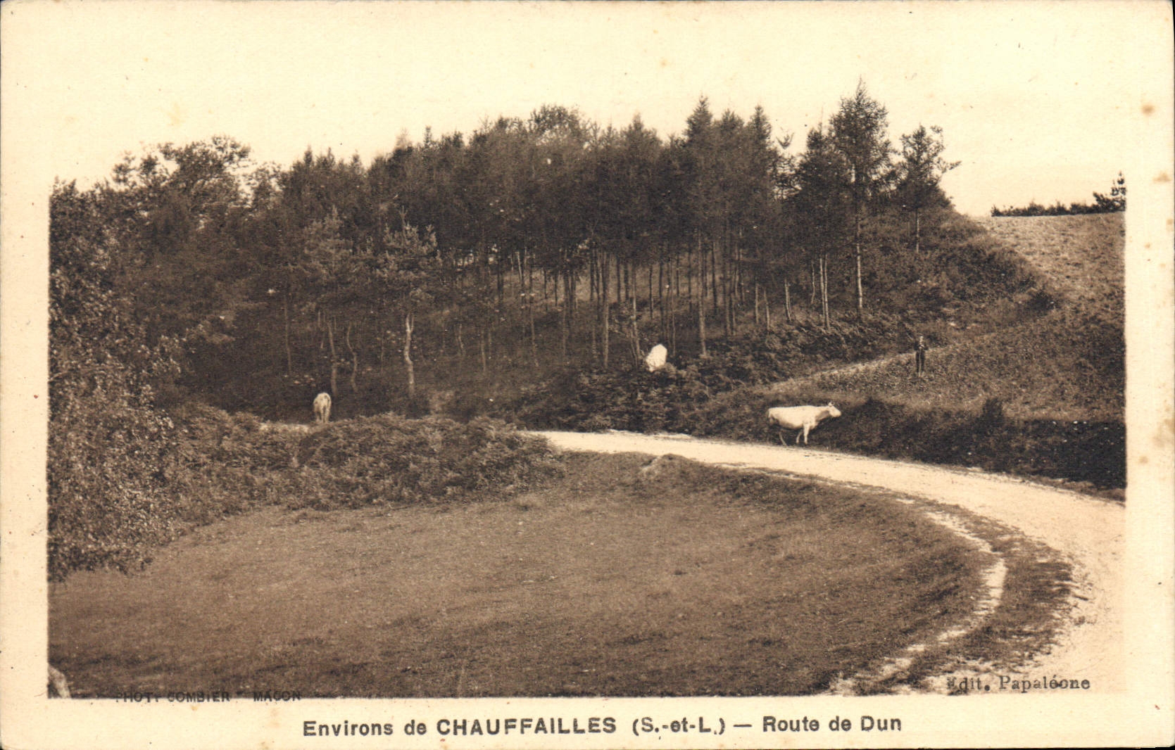 Environs de CHAUFFAILLES (S.-et-L.) — Route de Dun — Phot. Combier — Edit. Papaléone