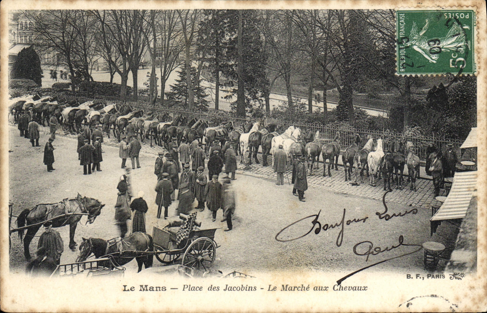 CPA Le Mans Place Des Jacobins Le Marché Aux Chevaux