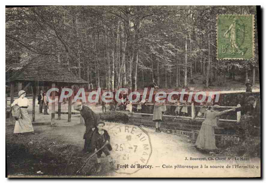 CPA Foret De Bercey Coin Pittoresque La Source Hermitière